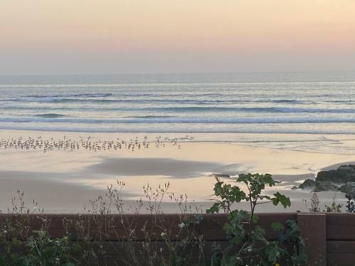 Villa Familyhost Charm Porto Covo