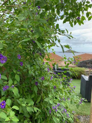 Portas Do Ilh�u