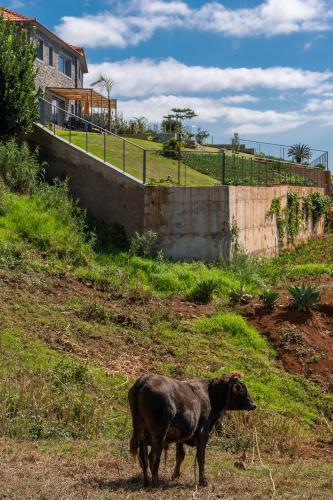 Villa Fauna - Nature & Tranquility - Heated Pool Optional