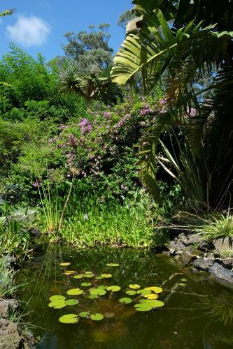 Agroturismo Pink House Azores