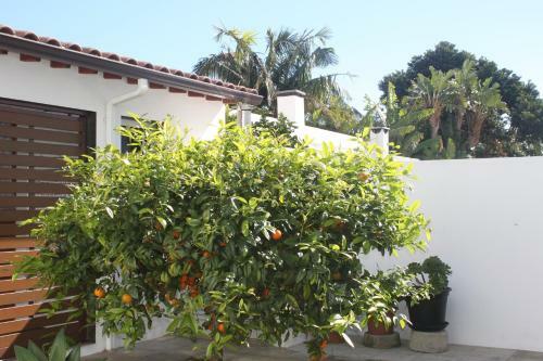 Casa Do Limoeiro