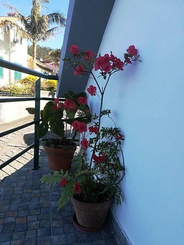 Hostal Mar A Vista 2