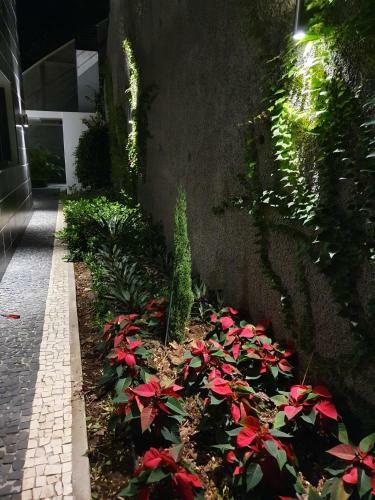 Villa Brava Atl�ntico