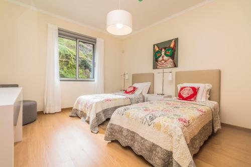 Pink House - Tabua (ribeira Brava)