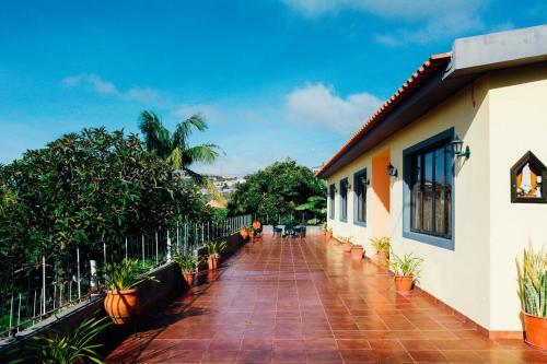 Lovely 3-bed Cottage In Ribeira Brava