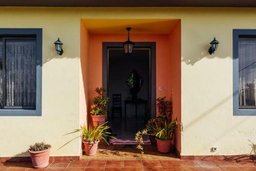 Lovely 3-bed Cottage In Ribeira Brava