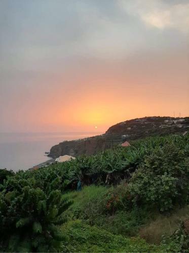 Lovely 3-bed Cottage In Ribeira Brava