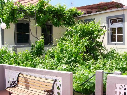 Apartamento Ribeira Brava Studio Sea View