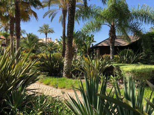 Stylish Apartment Palmyra