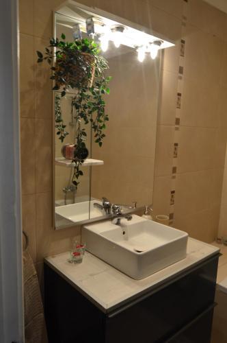 Apartamento Studio 289