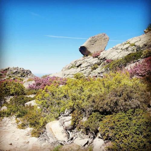 Casa Na Serra, Sabugueiro