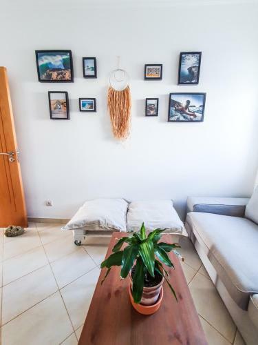 Hostal Jelly Fish Guest House
