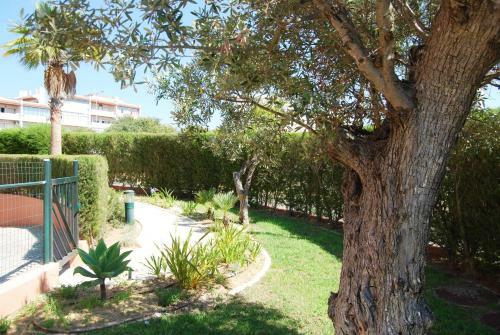 Algarve Prime Apartment