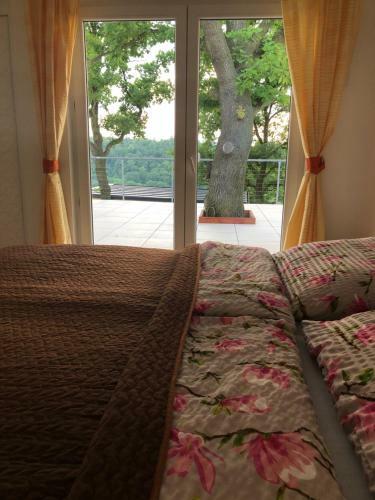 Apartamento Vyhl�dka Nad ?ekou