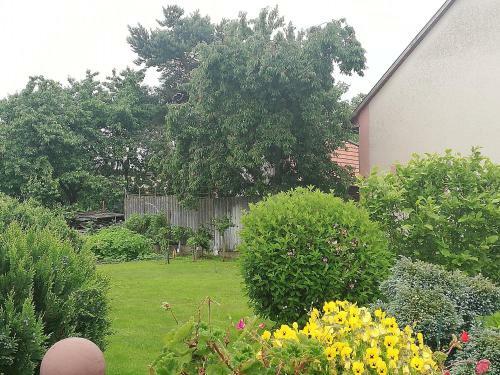 Apartm�n Za Kostelem