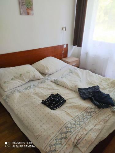 Apartm�n Br?�ln�k S Balkonem