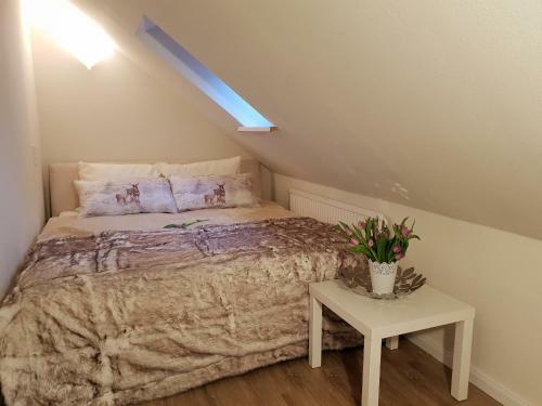 Apartamento Eagles Nest On The Museumsberg