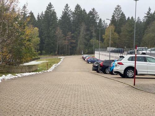 Apartamento Schwarzwald Wohnung Kniebis