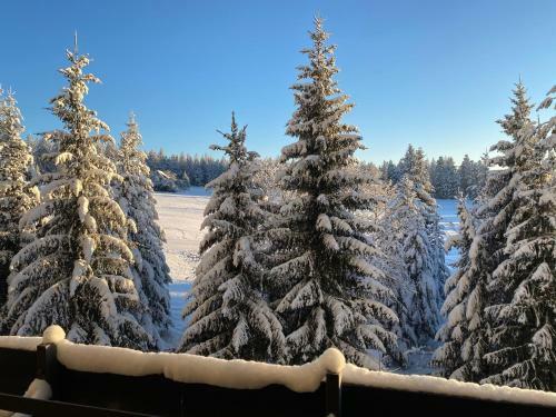 Apartamento Schwarzwald Wohnung Kniebis