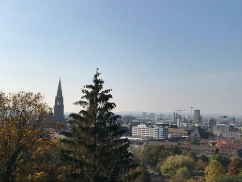 Apartamento Ferienwohnung-freiburg-exklusiv