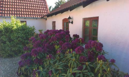 Bed & Breakfast Vranum Guesthouse