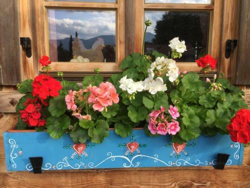 Apartamento Blockhaus-traum Huber