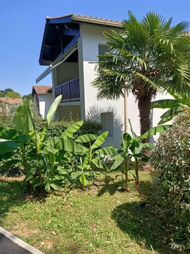 Apartamentos Colline De La Bergerie