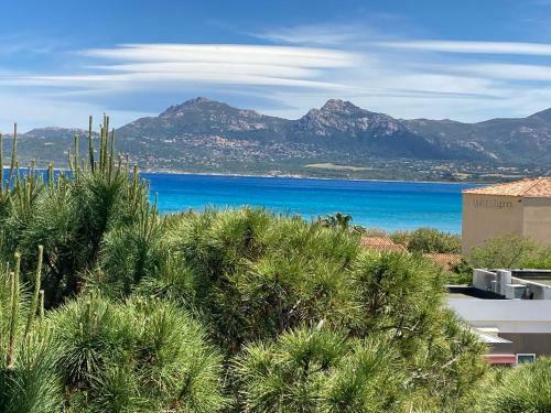 Apartamento Corse Calvi Appt Vue Sur Mer