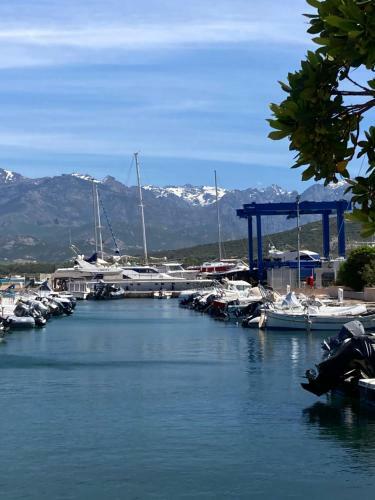 Apartamento Corse Calvi Appt Vue Sur Mer