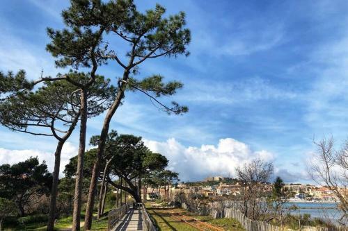 Apartamento Studio Les Pieds Dans L'eau Calvi