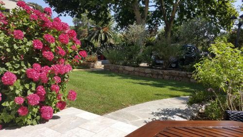 Aparthotel R�sidence Le Home
