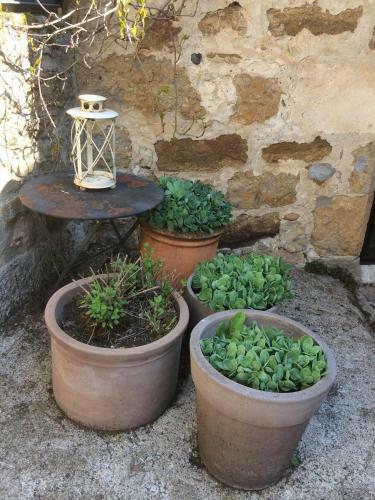 Les Terrasses De Carennac
