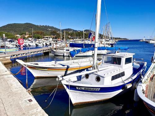Apartamento T2 Bord De Mer Aux Pins Pench�s