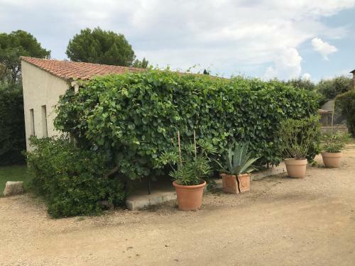 Apartamento Les Buis