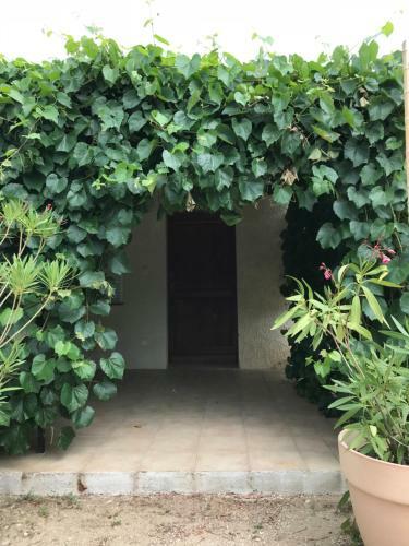 Apartamento Les Buis