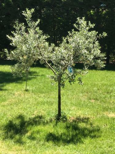 Apartamento Les Buis