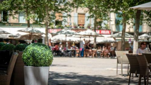 Apartamento Suite Tassigny