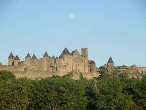 Carcassonne Pont Vieux Apartments