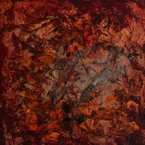 Bed & Breakfast Carcazen