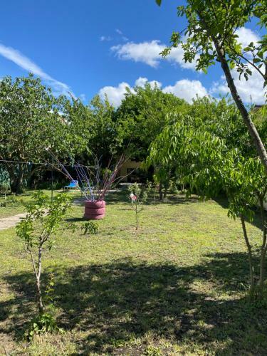 Bed & Breakfast Carcazen