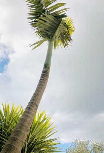 Apartamento Calanque