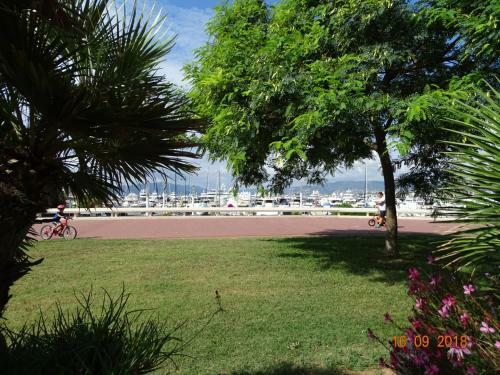 Apartamento Palm Beach Cannes Azur