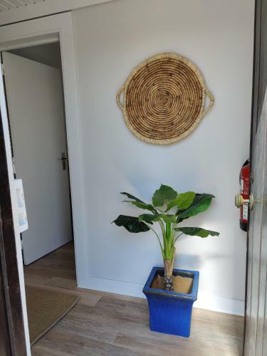 Santa Cruz Ocean Apartment