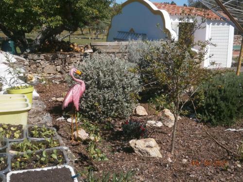 Agroturismo Casa Das Amoras