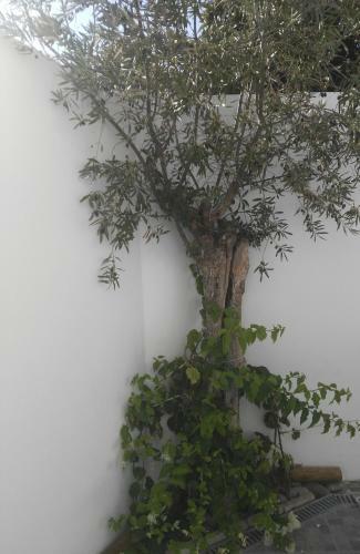 Apartamento Casa Malaquias