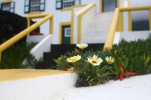 Casa Dos Felicias