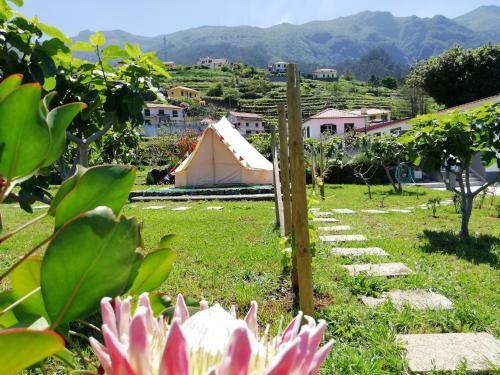 Agroturismo Granny's Farm