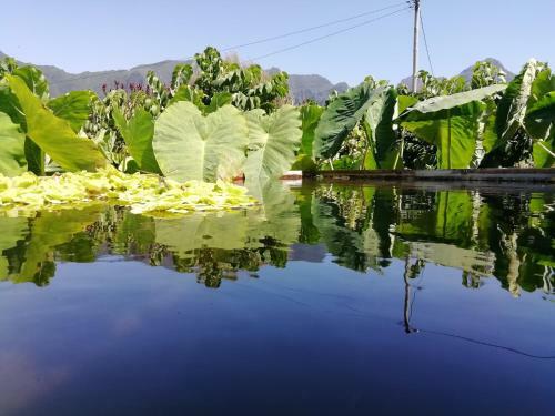 Agroturismo Granny's Farm
