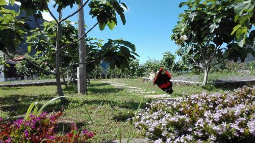 Agroturismo Granny's Farm
