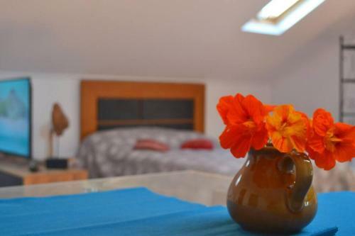 Apartamento Lazy Lizard Studio